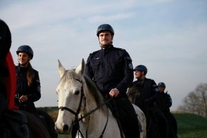 policjanci na koniach