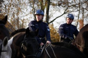 policjanci na koniach