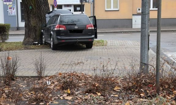 Zdjęcie samochodu, który uderzył w drzewo