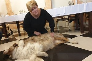 Nadkomisarz Sylwia Roda ze Szkoły Policji w Słupsku prowadzi badanie urazowe psa.