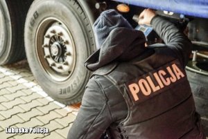 policjant  zagląda pod ciężarówkę