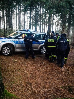 policjanci w trakcie akcji poszukiwawczej