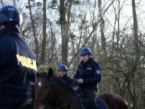 policjanci na koniach