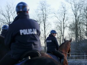 policjanci na koniach