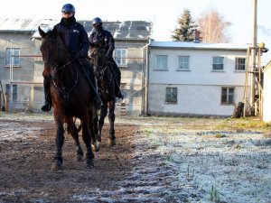 policjanci na koniach