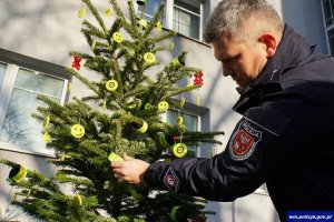 Policjanci i pracownicy cywilni przyozdabiają choinkę w odblaski