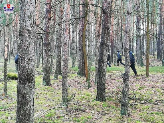 policjanci prowadzą w lesie poszukiwania