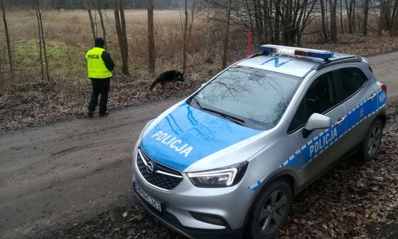 policjant z psem na polnej drodze, obok stoi radiowóz