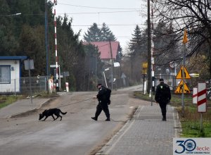 podczas szkolenia psów policyjnych przewodnicy z psami ćwiczą w terenie