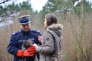 Policjanci wypuszczają myszołowa