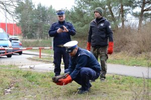 Policjanci wypuszczają myszołowa