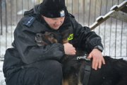 policjant ze swoim psem służbowym