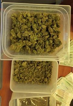 marihuana w pojemnikach