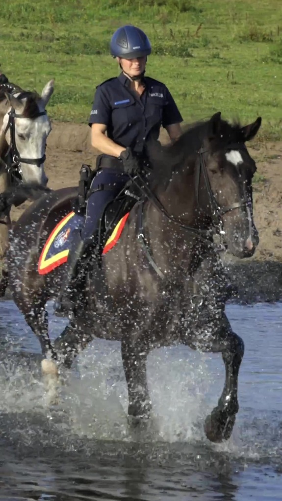 Policjantka na koniu przejeżdża przez wodę.