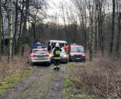 stojące w terenie zalesionym radiowozy policyjne,  strażackie oraz innych służb oraz strażak stojący tyłem podczas akcji poszukiwawczej