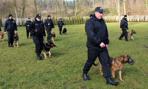policjanci z psami służbowymi