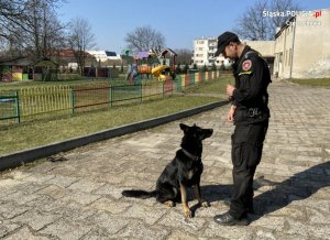 Policjant z psem podczas pokazu