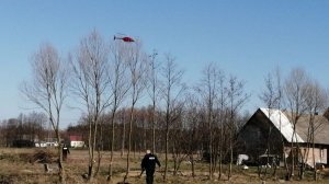 Policjant szukający zaginionej na terenie pola nad nim policyjny helikopter