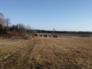 Policjanci szukający zaginionej na polu