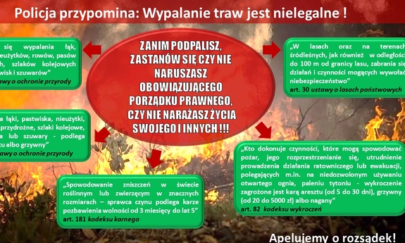 infografika dotycząca wypalania traw