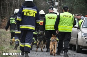 policjanci i strażacy podczas poszukiwań