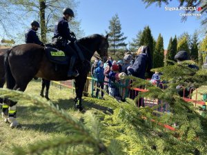 dwóch policjantów na koniach służbowych prezentują konie