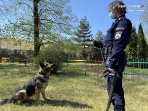 przewodnik psa służbowego podczas pokazu tresury psa służbowego