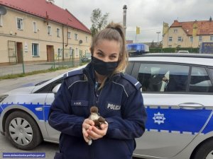 Policjantka z kaczątkami