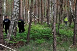 akcja poszukiwawcza, policjanci podczas poszukiwań osoby zaginionej