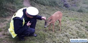 Policjant z jelonkiem