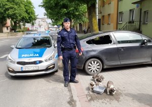 policjant stoi przy oswobodzonych z zamkniętego auta szczeniakach. Z boku policyjny radiowóz i auto z wybitą szybą