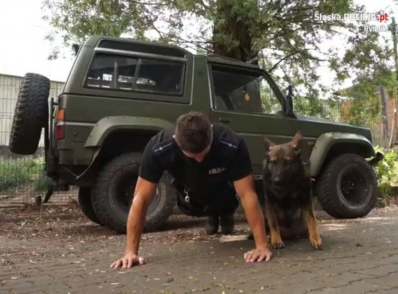 policjant robi pompki, obok stoi pies policyjny w ramach akcji #gaszynchallenge, w tle widać samochód terenowy