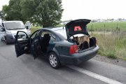 Policyjny pies sprawdza pojazd