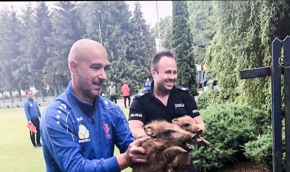 Na zdjęciu widzimy policjanta oraz osobę obecną na boisku, którzy z sukcesem pomogli małym dzikom, które zaplątały się w siatkę