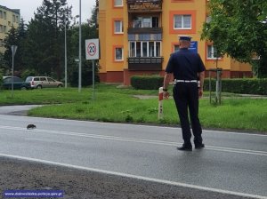 Na zdjęciach widzimy zwierzęta, którym funkcjonariusze udzielili pomocy. Pisklaka, który wypadł z gniazda oraz jeżykowi, który chciał przejść przez jezdnię.
