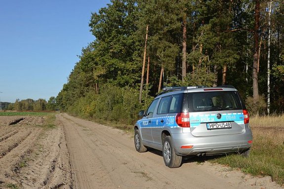 policyjny radiowóz na drodze przy lesie