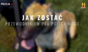 Napis: Jak zostać przewodnikiem psa policyjnego, w tle policyjny wilczur