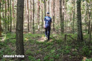 Policjantka idąca w lesie
