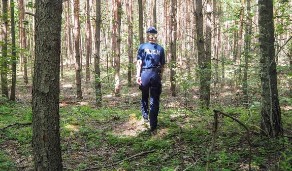 policja przeczesuje tereny leśne