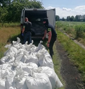 Policjanci wyciągają nielegalny tytoń z pojazdu