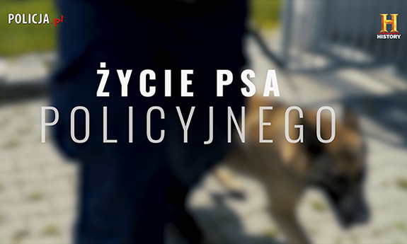 Napis Życie psa policyjnego na rozmytym tle