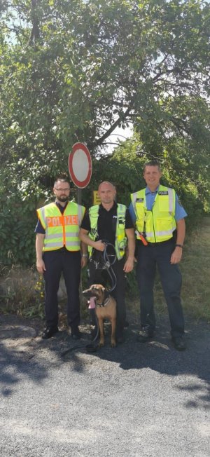 Specjalne szkolenie polskich psów policyjnych zakończone sukcesem
