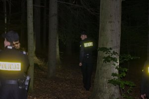 policjanci w lesie w trakcie poszukiwań zaginionego&quot;&gt;