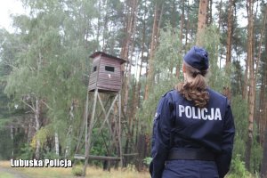 Policjantka, a w tle ambona myśliwska