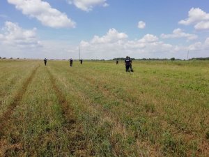 policjanci i strażacy podczas poszukiwań kobiety