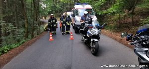 Na zdjęciu policjanci i strażacy pracujący na miejscu pożaru samochodu. W tle dwa motory policyjne oraz dwie karetki pogotowia