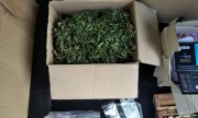Na zdjęciu marihuana w kartonowym pudełku, woreczki strunowe i waga