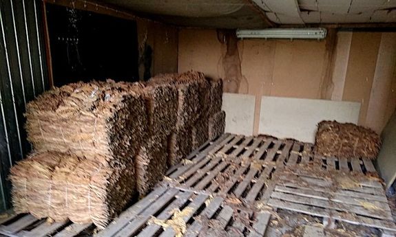 Na zdjęciu widzimy zabezpieczone liście tytoniu