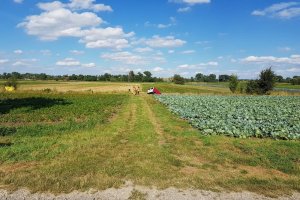 samochód poszkodowanego w rowie i strażacy