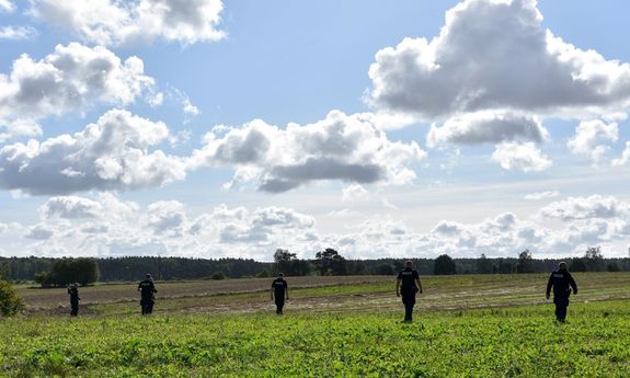 Policjanci podczas poszukiwań w polu